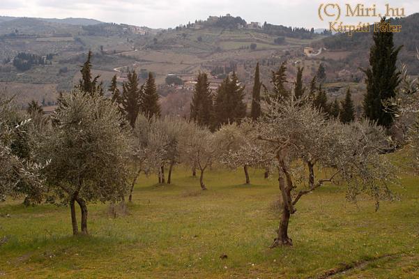 twg_slideshow