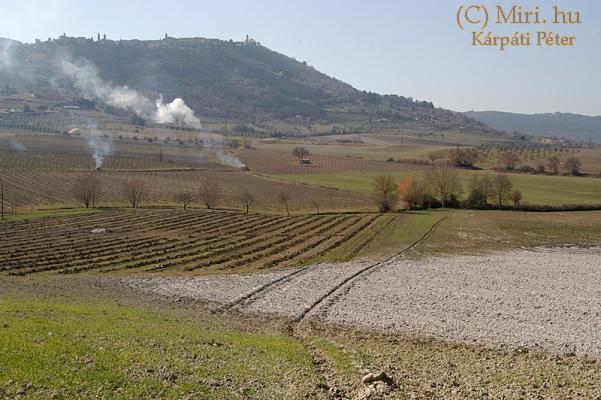 twg_slideshow