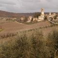 Chianti_16