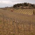 Chianti_3