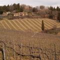 Chianti_6