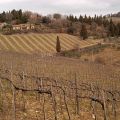 Chianti_7