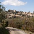 Montalcino_2