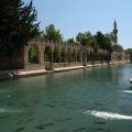 Sanliurfa_Abraham_tava_1