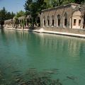 Sanliurfa_Abraham_tava_11