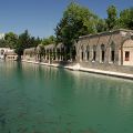 Sanliurfa_Abraham_tava_12