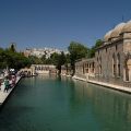 Sanliurfa_Abraham_tava_14