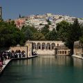 Sanliurfa_Abraham_tava_15