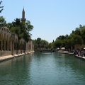 Sanliurfa_Abraham_tava_2