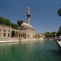 Sanliurfa_Abraham_tava_24