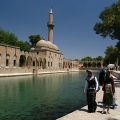 Sanliurfa_Abraham_tava_25