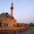 Sanliurfa_Abraham_tava_30