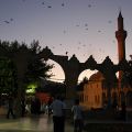 Sanliurfa_Abraham_tava_38