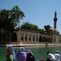 Sanliurfa_Abraham_tava_4