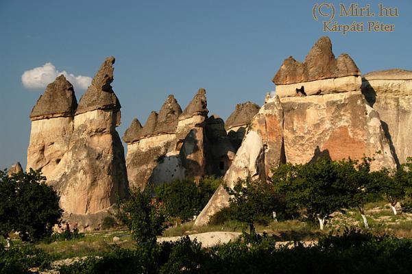 twg_slideshow