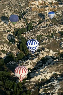 twg_slideshow
