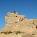 Nemrut_73