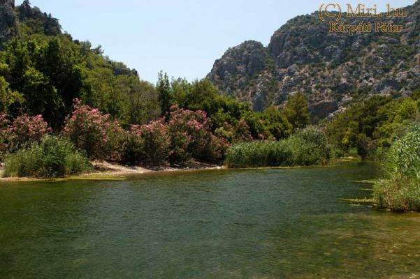twg_slideshow