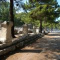 Phaselis_6