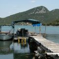 Peljesac_Ston_osztrig&aacute;z&aacute;s_3