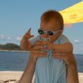 Priscapac_5