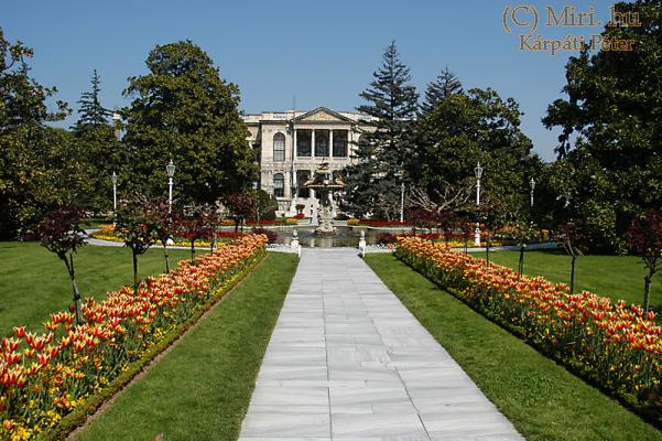 twg_slideshow