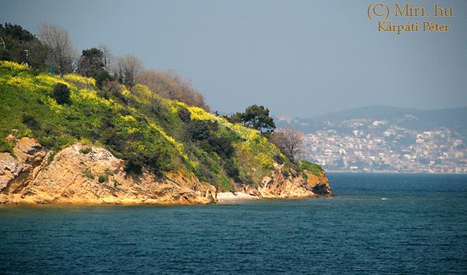 twg_slideshow