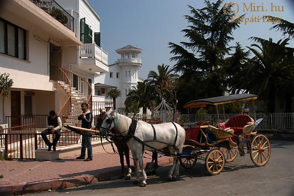 twg_slideshow
