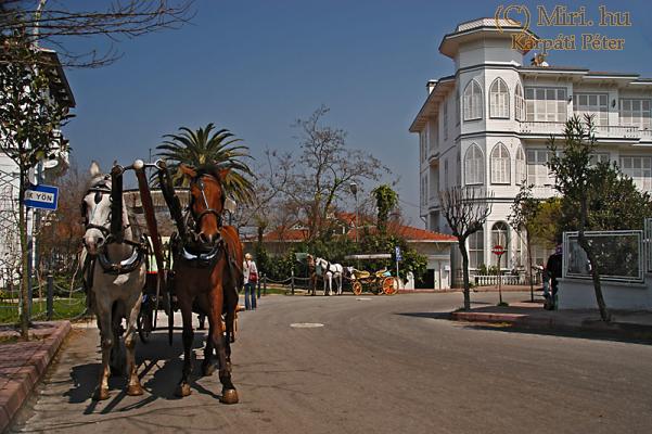 twg_slideshow