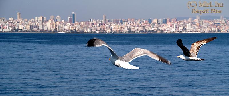 twg_slideshow