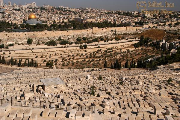 twg_slideshow
