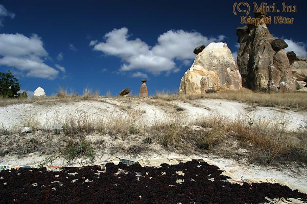 twg_slideshow