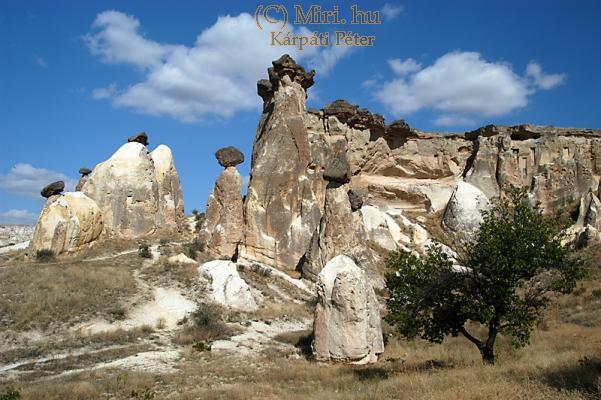 twg_slideshow