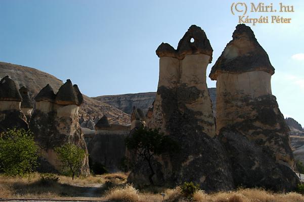 twg_slideshow