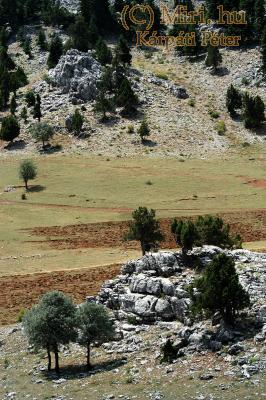 twg_slideshow