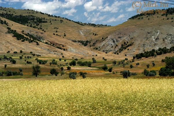 twg_slideshow