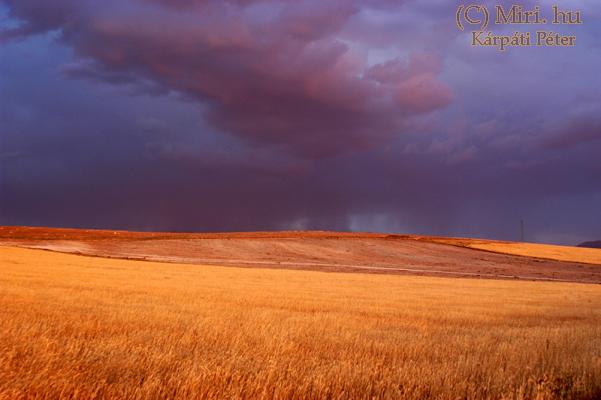 twg_slideshow