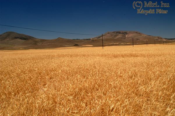 twg_slideshow