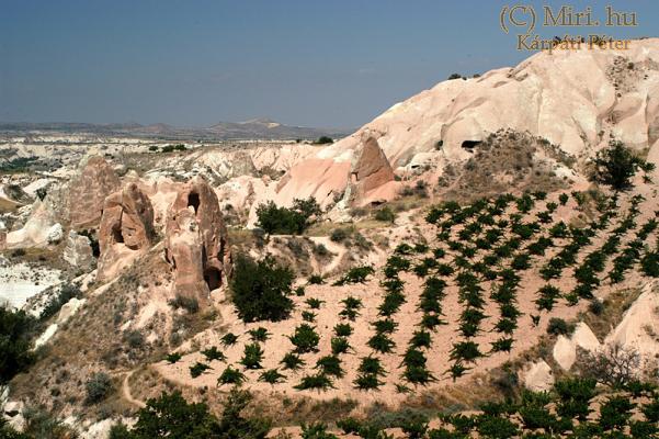 twg_slideshow
