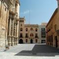 Elche_47