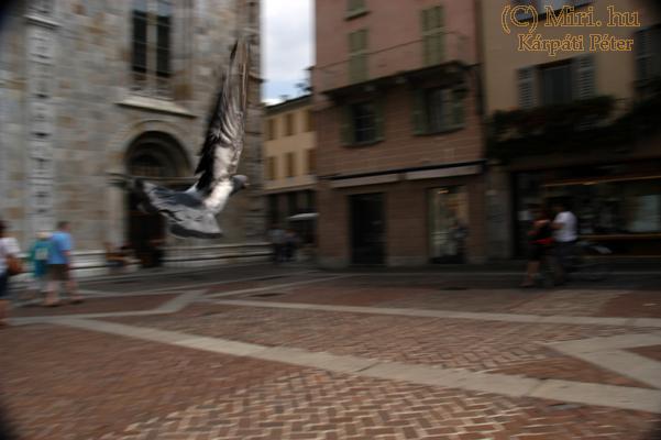 twg_slideshow