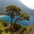 Kabak-beach_10